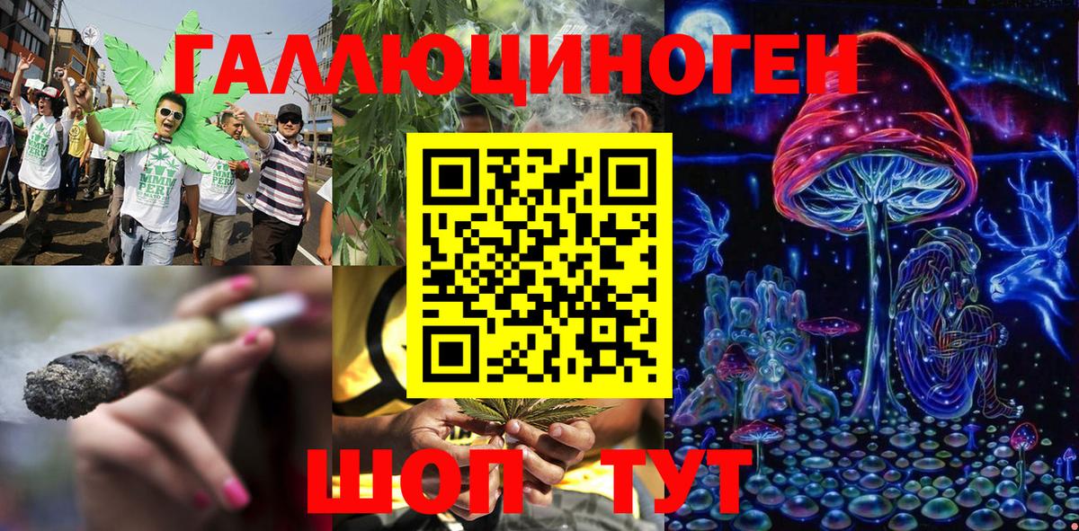 Псилоцибиновые грибы Psilocybe Нерюнгри
